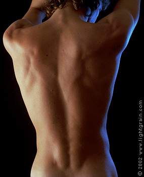 male figure study