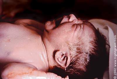 newborn infant